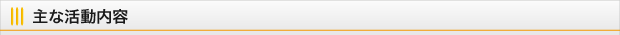 主な活動内容