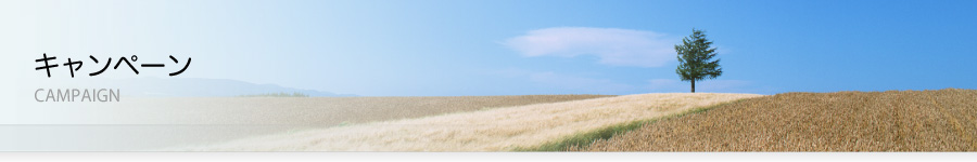 ダンクロ＠オンライン